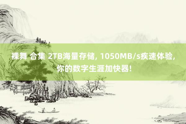 裸舞 合集 2TB海量存储， 1050MB/s疾速体验， 你的数字生涯加快器!