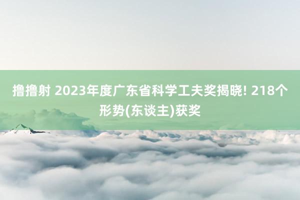 撸撸射 2023年度广东省科学工夫奖揭晓! 218个形势(东谈主)获奖
