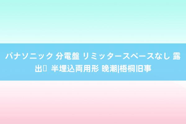 パナソニック 分電盤 リミッタースペースなし 露出・半埋込両用形 晚潮|梧桐旧事