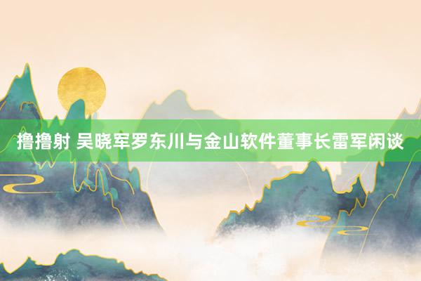 撸撸射 吴晓军罗东川与金山软件董事长雷军闲谈