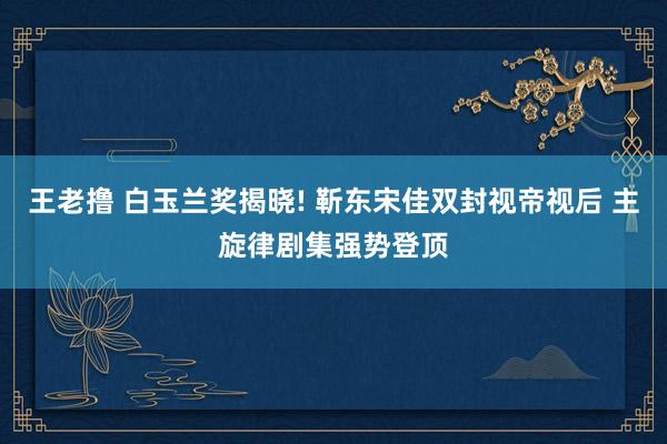 王老撸 白玉兰奖揭晓! 靳东宋佳双封视帝视后 主旋律剧集强势登顶